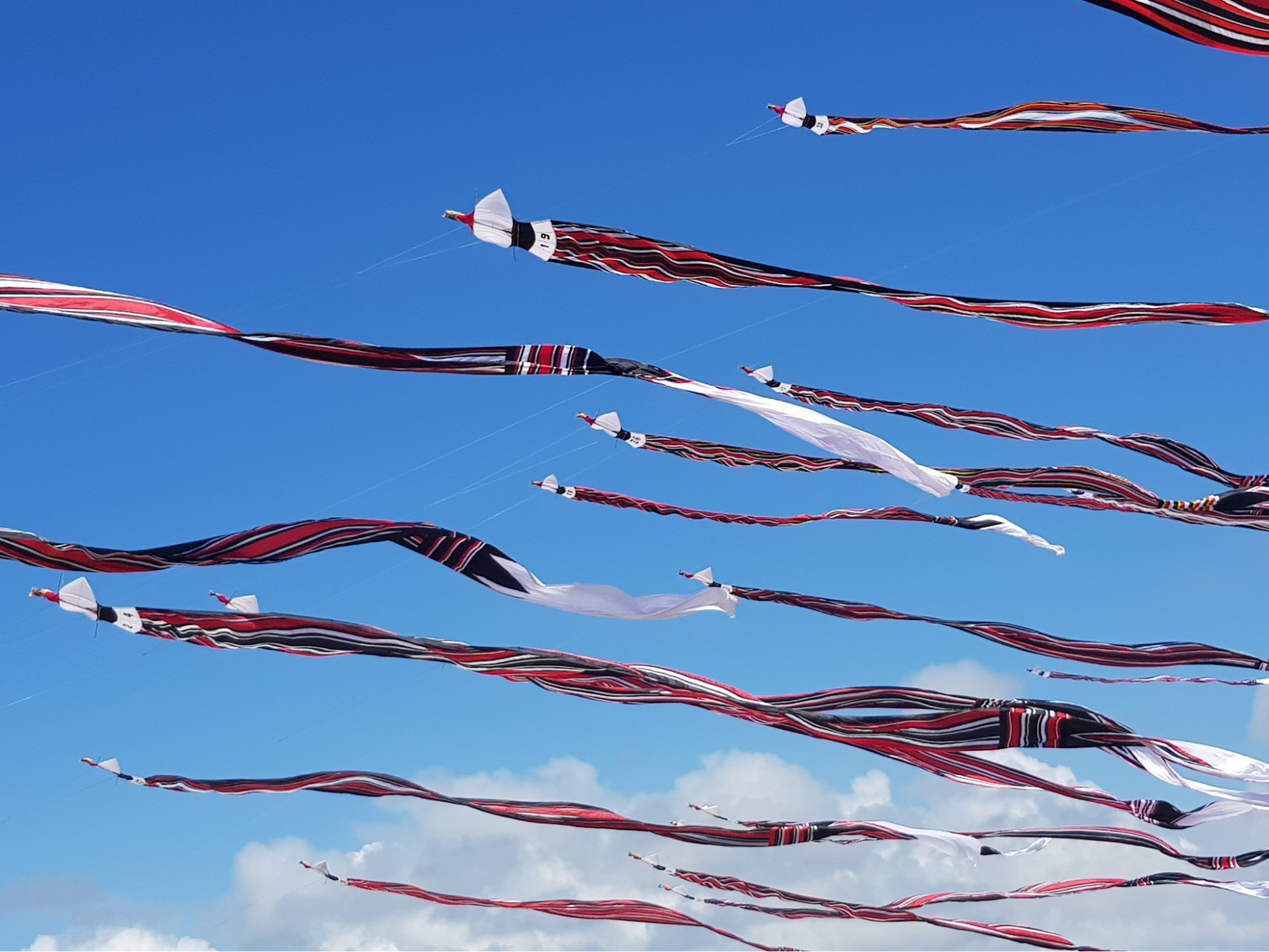 Crowds watching vibrant kite displays at the Bali Kite Festival Sanur