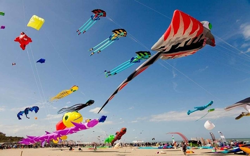 Crowds watching vibrant kite displays at the Bali Kite Festival Sanur