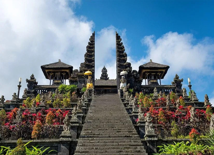 Bali travel guide featuring scenic rice terraces in Ubud surrounded by tropical greenery