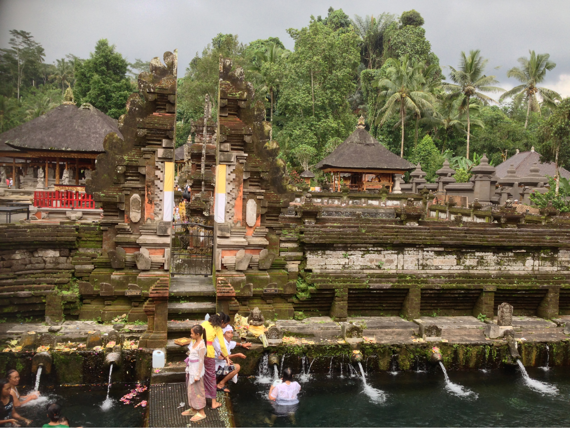 Bali travel guide featuring scenic rice terraces in Ubud surrounded by tropical greenery