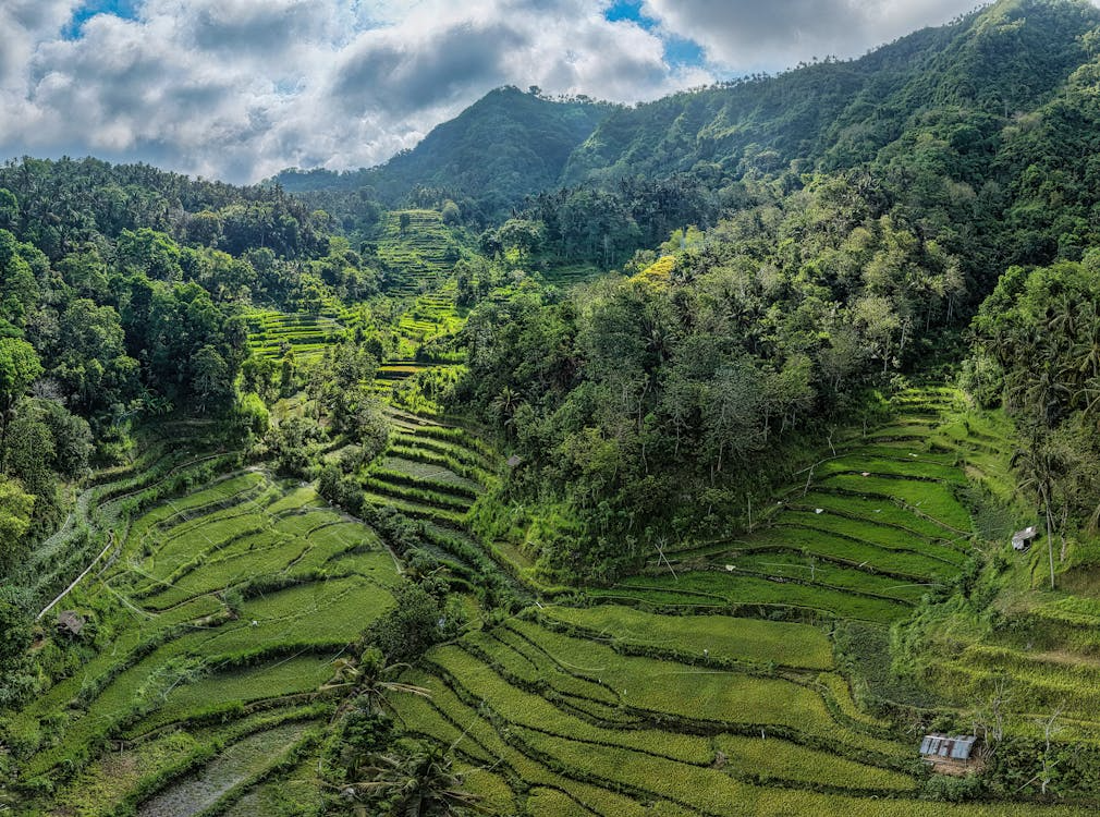 Bali volcano landscapes featuring dramatic mountain scenery, volcanic peaks, and breathtaking viewpoints that showcase the island’s natural beauty and geological history.
