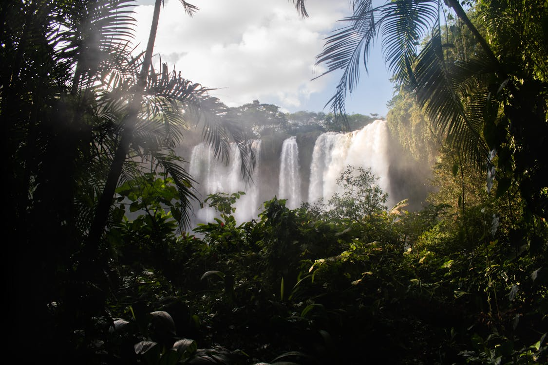 Bali waterfalls surrounded by lush tropical forests, cascading streams, and breathtaking natural scenery, offering a refreshing escape into the island’s natural beauty.