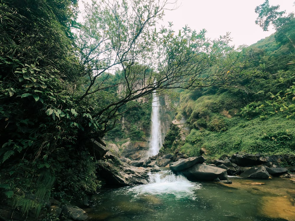 Bali waterfalls surrounded by lush tropical forests, cascading streams, and breathtaking natural scenery, offering a refreshing escape into the island’s natural beauty.