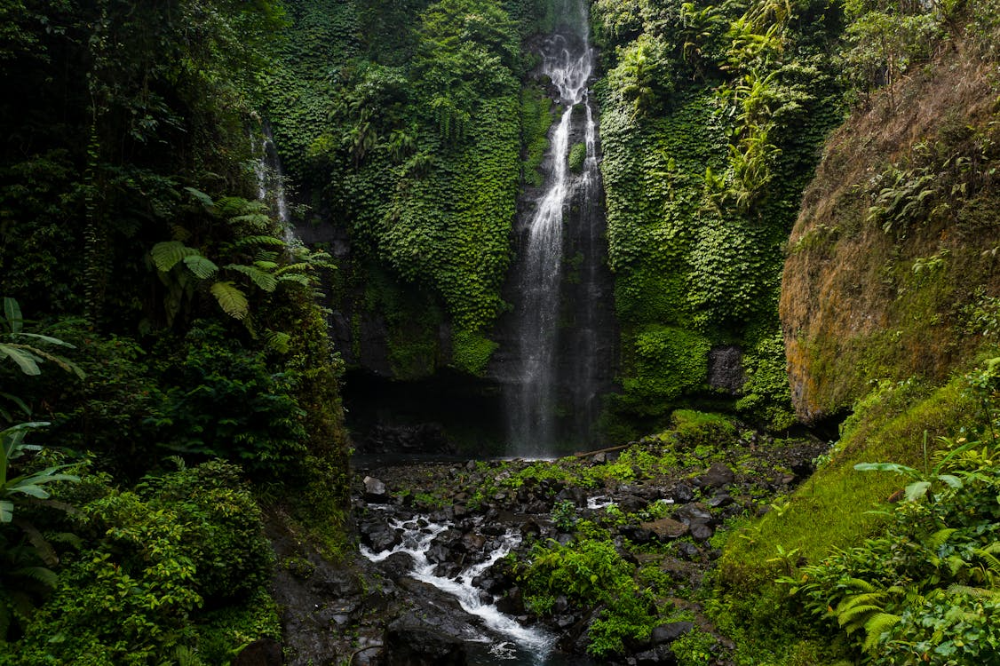 Travelers exploring Bali waterfalls through scenic jungle trails, hidden swimming spots, and picturesque landscapes perfect for adventure and relaxation.