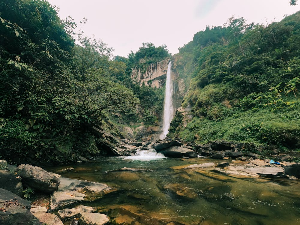 Bali waterfalls surrounded by lush tropical forests, cascading streams, and breathtaking natural scenery, offering a refreshing escape into the island’s natural beauty.