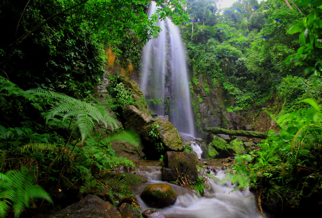 Travelers exploring Bali waterfalls through scenic jungle trails, hidden swimming spots, and picturesque landscapes perfect for adventure and relaxation.