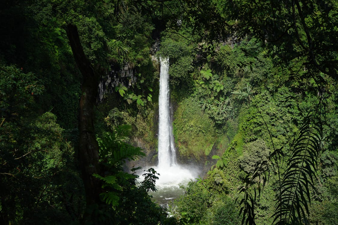 Travelers exploring Bali waterfalls through scenic jungle trails, hidden swimming spots, and picturesque landscapes perfect for adventure and relaxation.