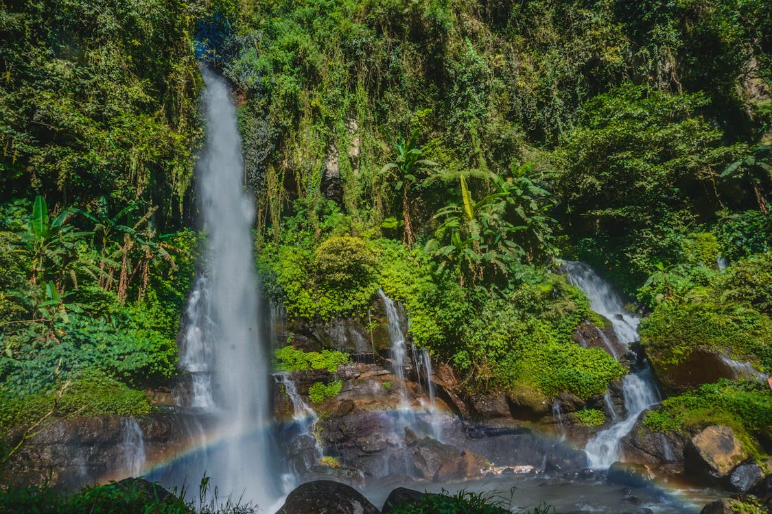 Bali waterfalls surrounded by lush tropical forests, cascading streams, and breathtaking natural scenery, offering a refreshing escape into the island’s natural beauty.