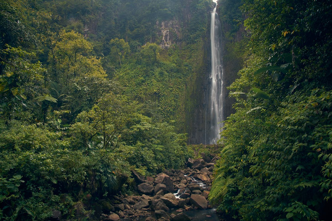 Travelers exploring Bali waterfalls through scenic jungle trails, hidden swimming spots, and picturesque landscapes perfect for adventure and relaxation.