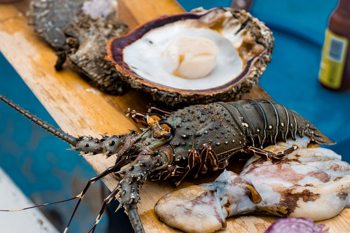 Best seafood restaurants in Bali offering freshly caught fish, premium shellfish, and authentic coastal cuisine served in scenic beachfront and waterfront settings.
