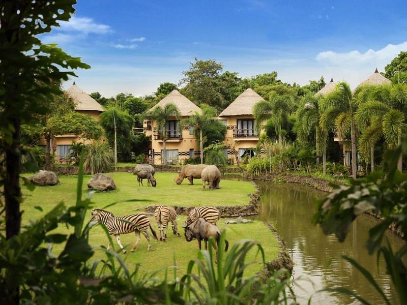 Travelers enjoying the best things to do in Bali, from surfing and snorkeling to visiting waterfalls, local markets, and iconic sunset viewpoints.