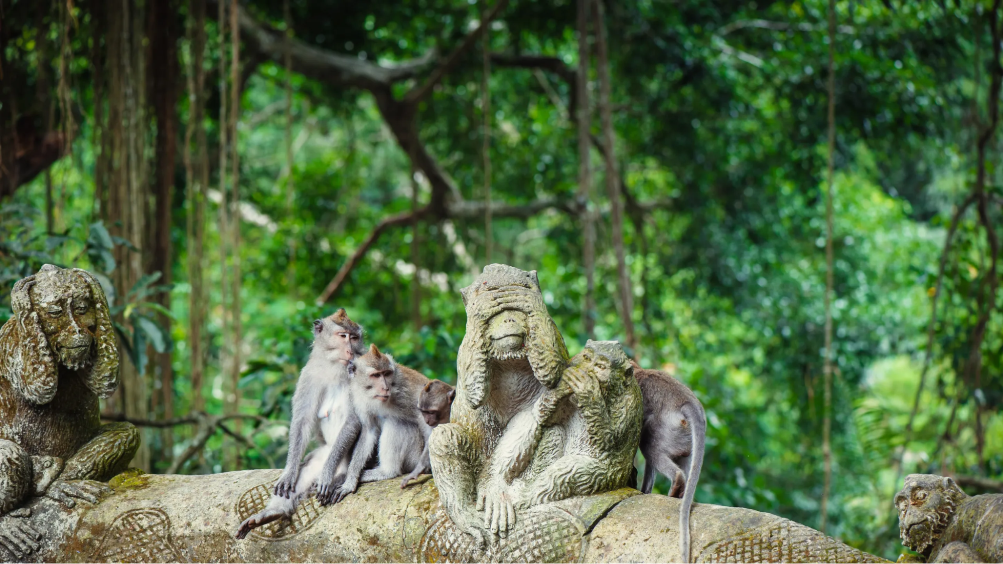 Things to do in Bali with family include visiting beautiful beaches, exploring cultural attractions, enjoying water parks, and discovering outdoor adventures suitable for all ages.