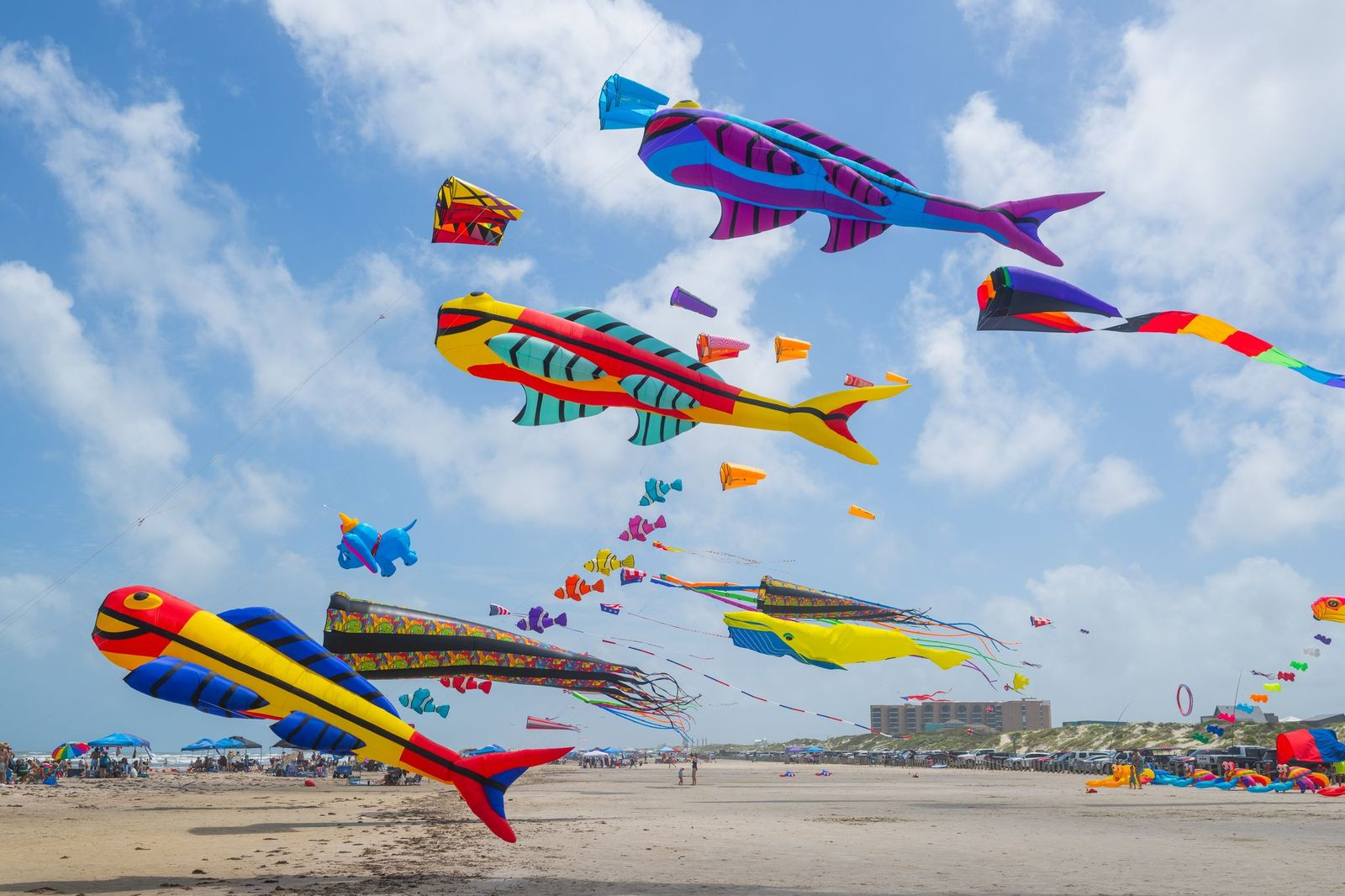 Families enjoying the best things to do in Bali with family, from wildlife encounters and scenic sightseeing to kid-friendly activities and memorable beach experiences.