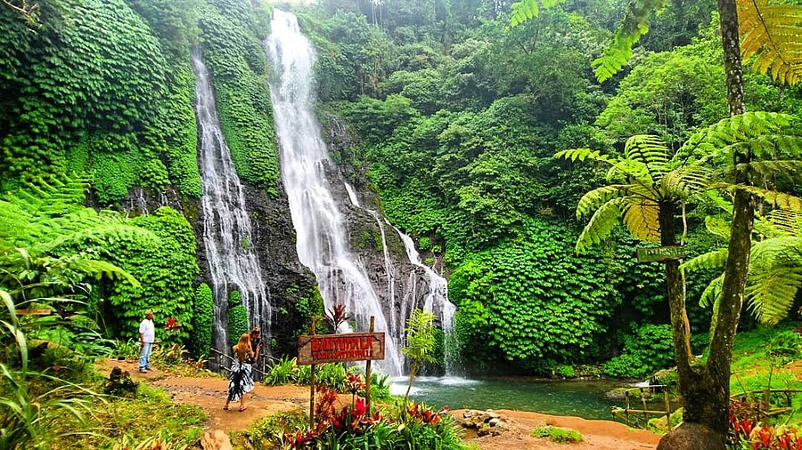Families enjoying the best things to do in Bali with family, from wildlife encounters and scenic sightseeing to kid-friendly activities and memorable beach experiences.