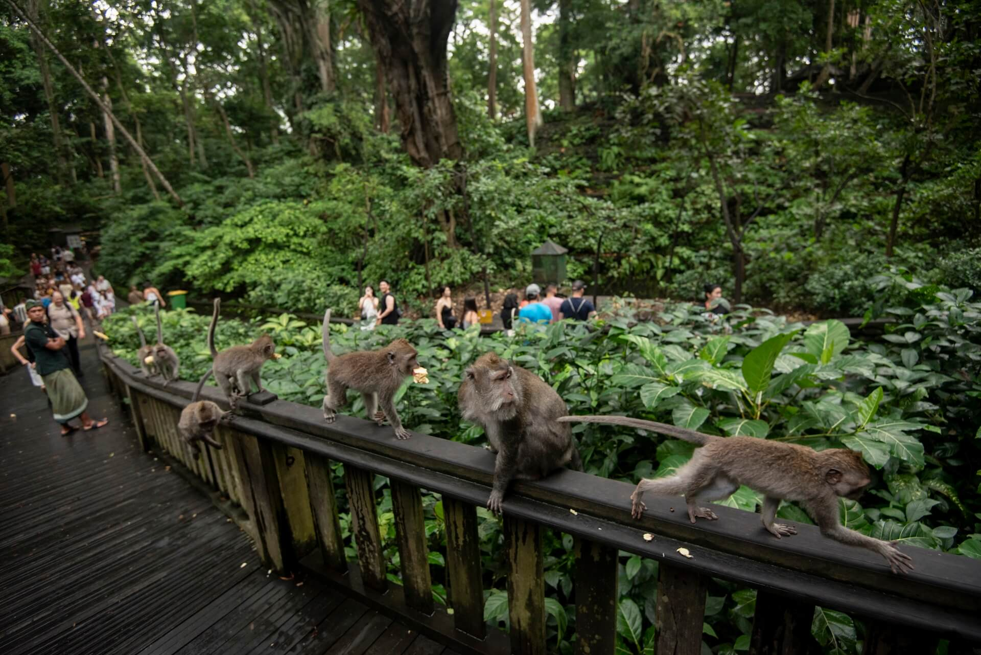 Parents and children visiting a Bali cultural attraction, one of the top things to do in Bali with kids