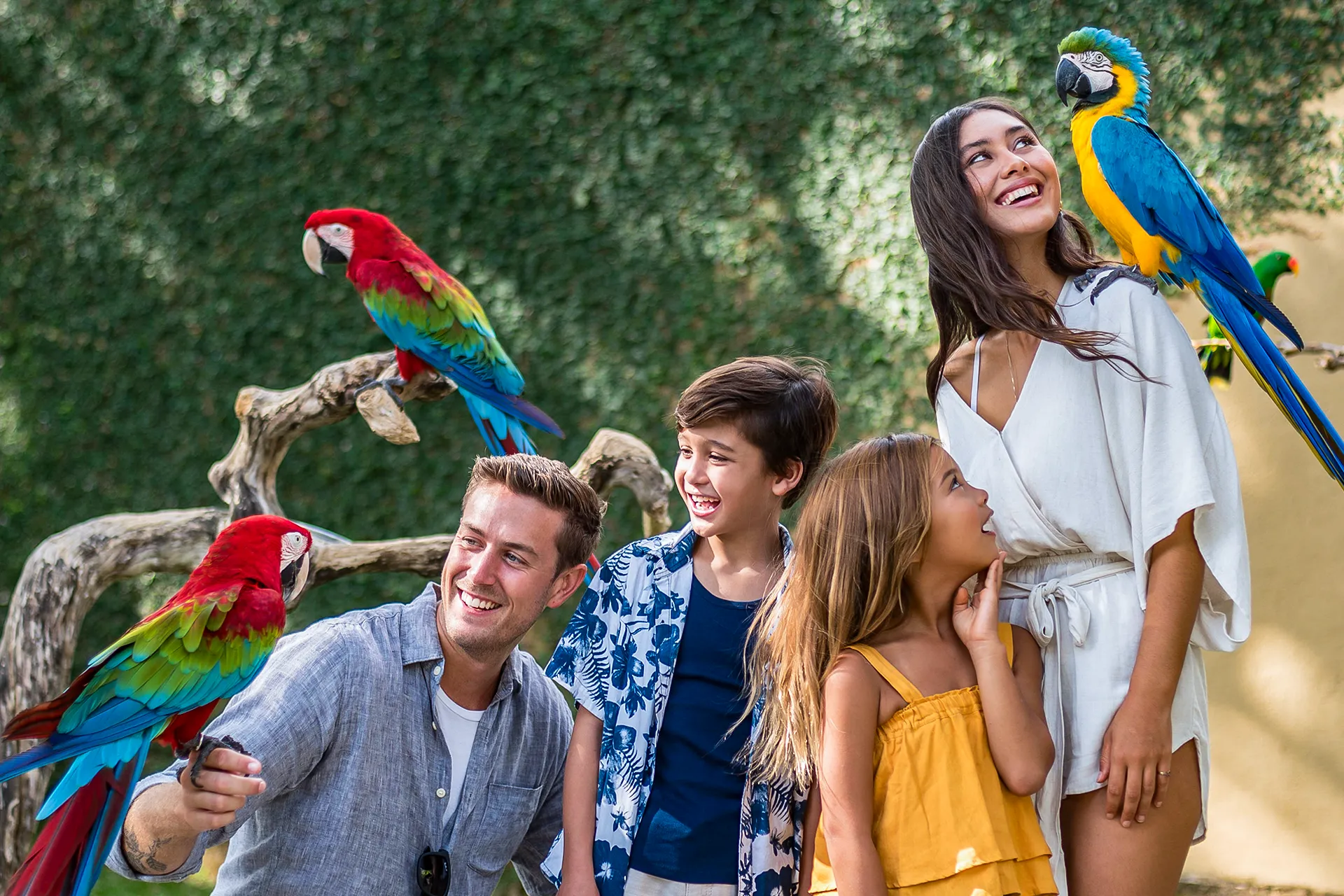 Kids feeding animals at a wildlife park, one of the most popular things to do in Bali with kids