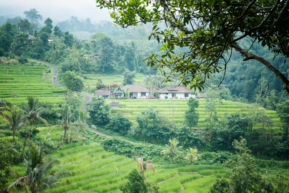 Where to go in Bali featuring traditional temples and cultural landmarks across the island