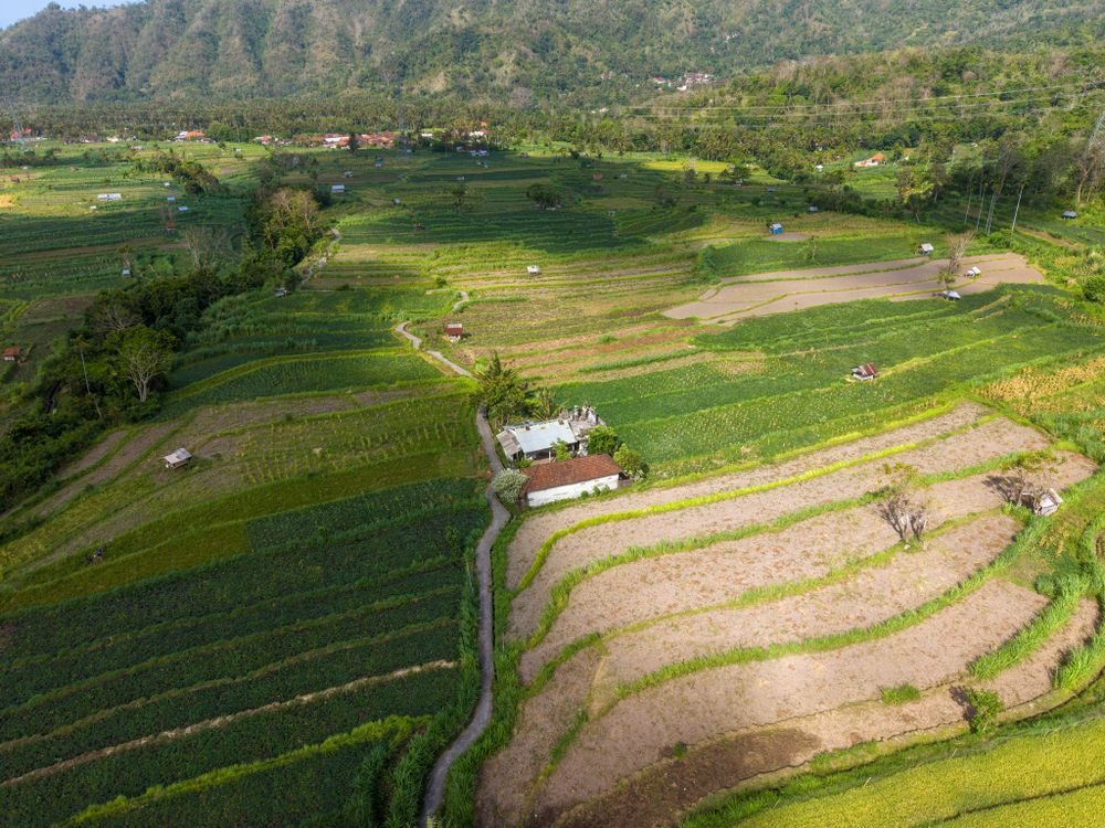 bali in september – Why September Is Bali's Sweet Spot