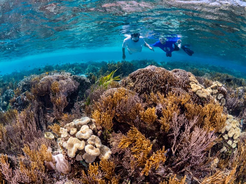 Snorkeling, Diving, and Manta Ray Sightings – 13